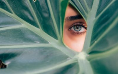 Spécial beauté du visage