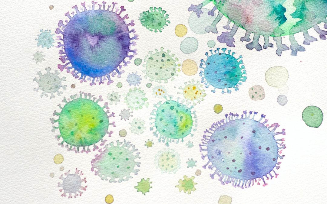 Les phages – une alternative aux antibiotiques ?