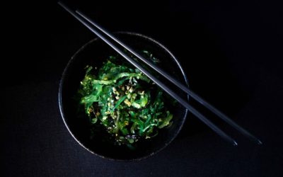Les aliments contenant du calcium